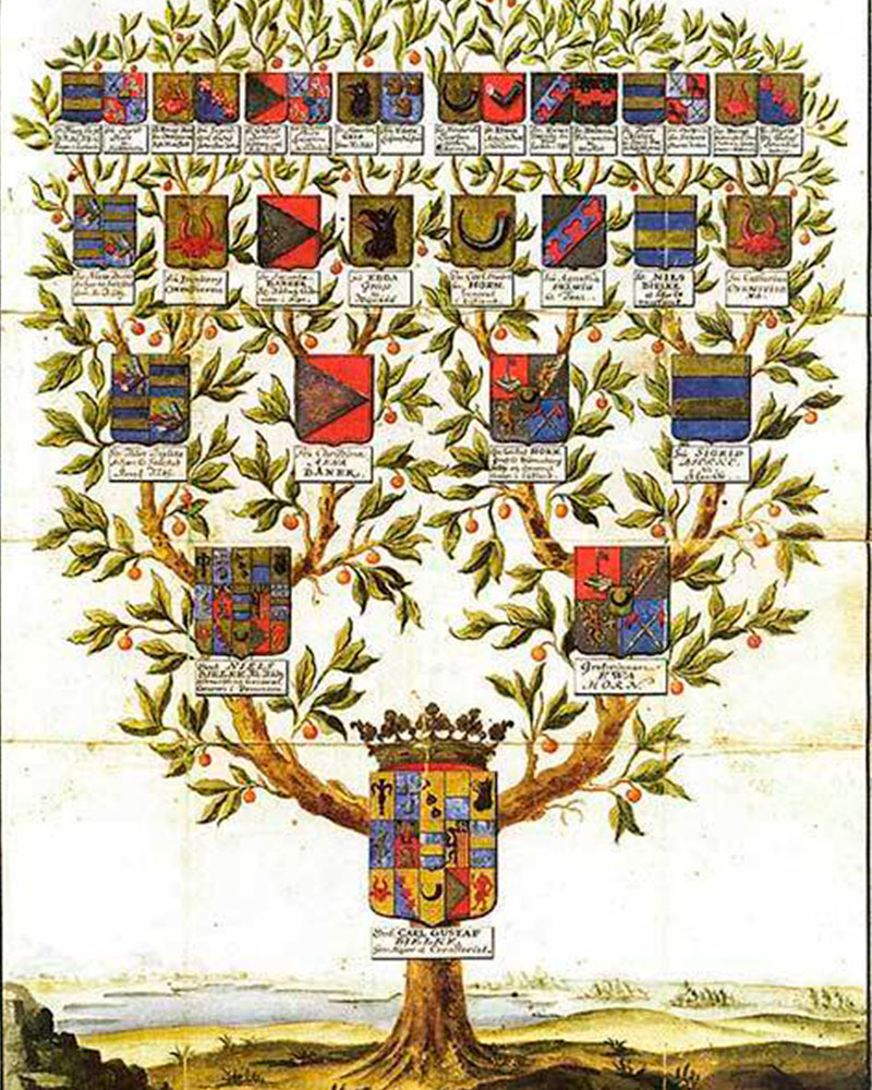 Fico gaviria- Genealogia para todos